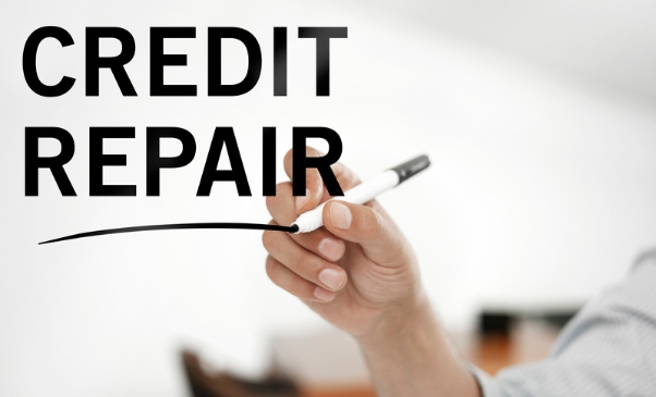 What Best Credit Repair Companies Are Like?
